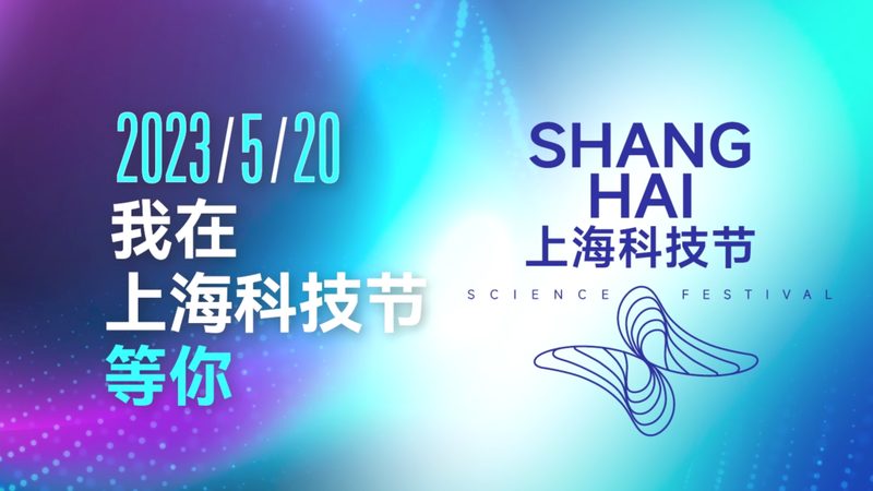 数据中台：2025年品牌排行榜背后的行业洞察
